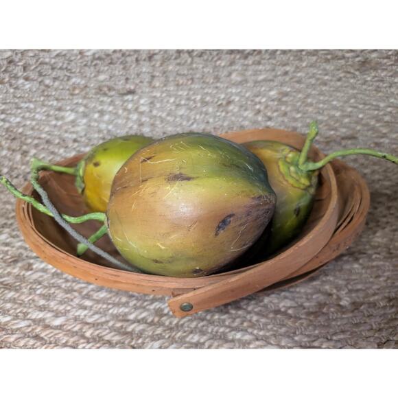 Large Coconut Artificial Fruit Basket, Home Tabletop Kitchen Decor - Picture 3 of 12